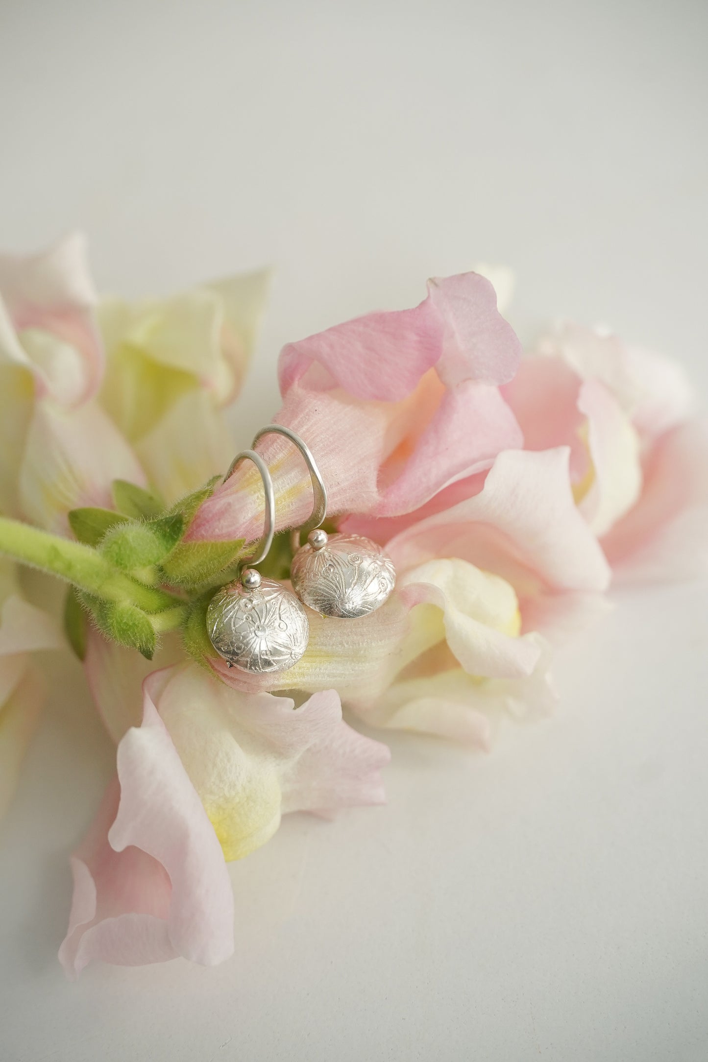 Freesia