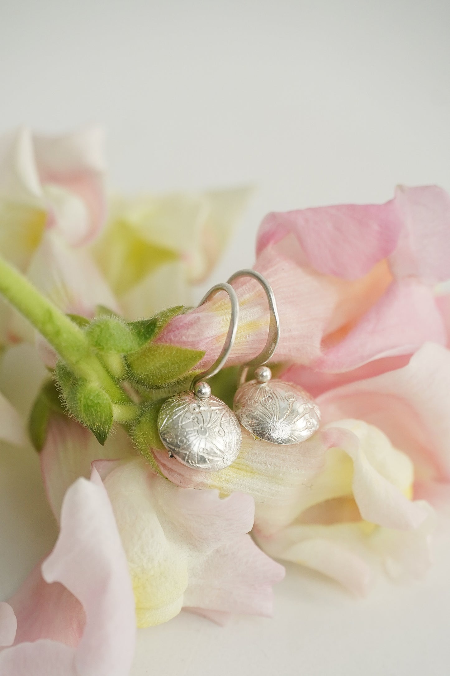 Freesia